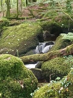 Mossy rocks & stream